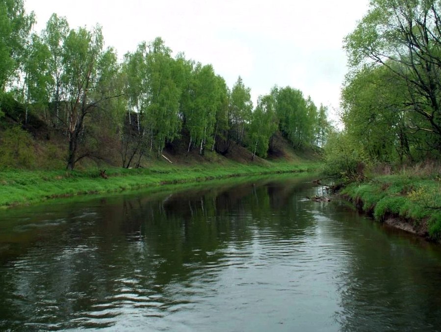 Лужки